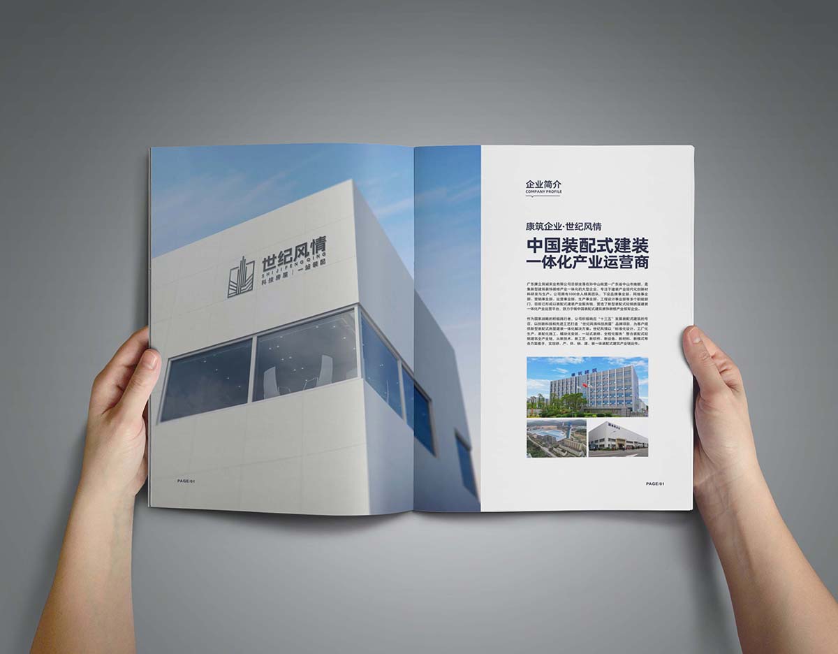 画册设计-世纪风情(图3)