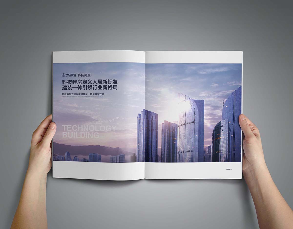 画册设计-世纪风情(图5)