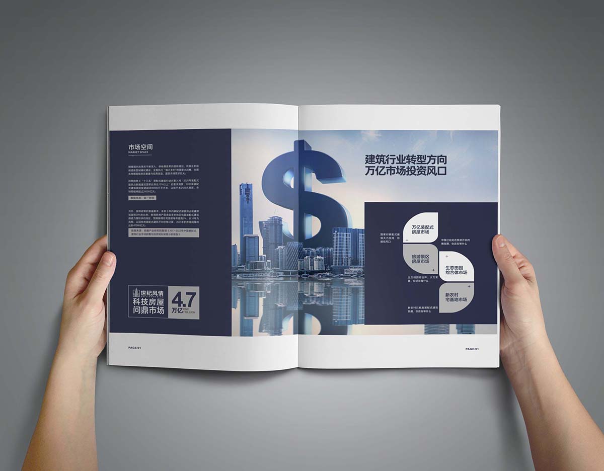 画册设计-世纪风情(图4)