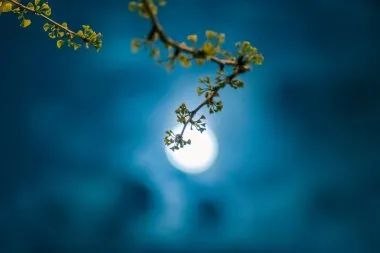 最圆的月亮 还是在家的方向(图5)